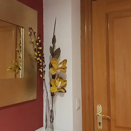 18 Torres Palafox Appartement